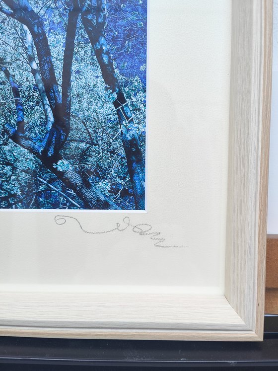 (FRAMED) Nature and Seasons