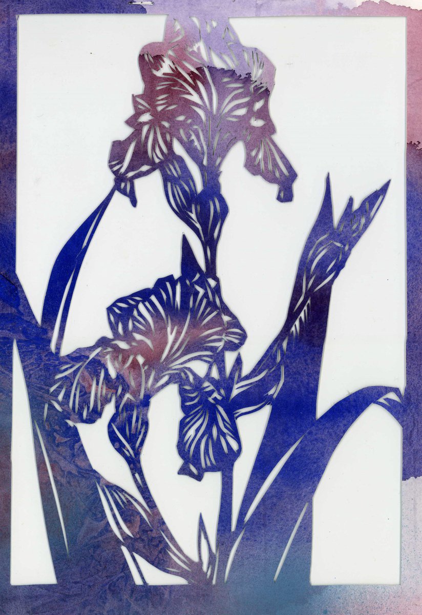 blue iris watercolor papercut by Alfred Ng