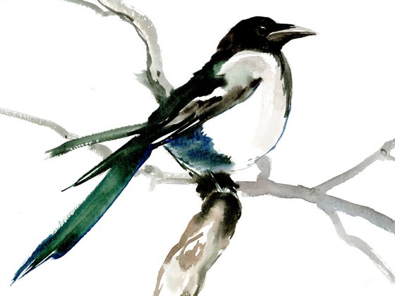 Magpie