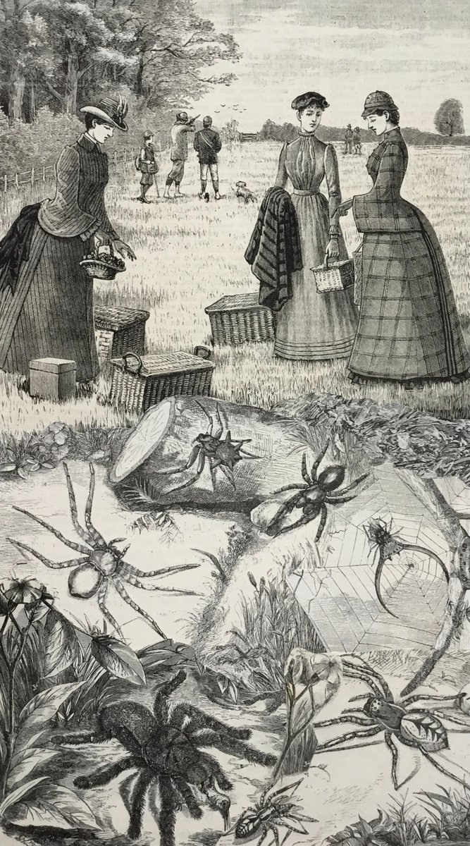Surrealistic Collage , Spider Picnic By Tudor Evans, 6 X 11, Artwork For Sale On Artfinder