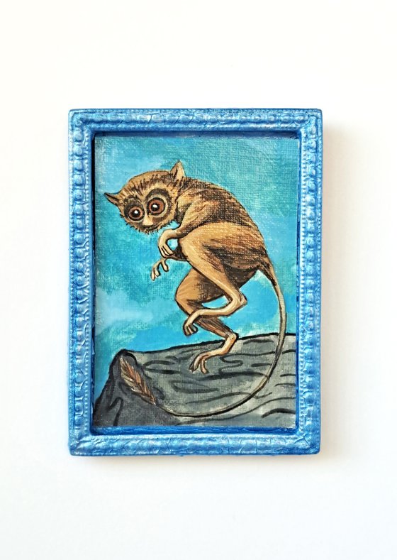 western tarsier, part of framed animal miniature series "festum animalium"