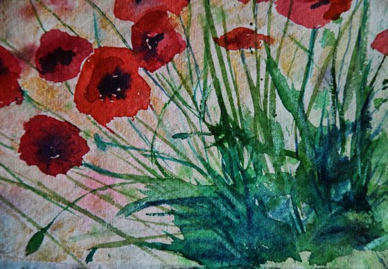 Floral watercolor painting on craft paper Red poppies with golden sky