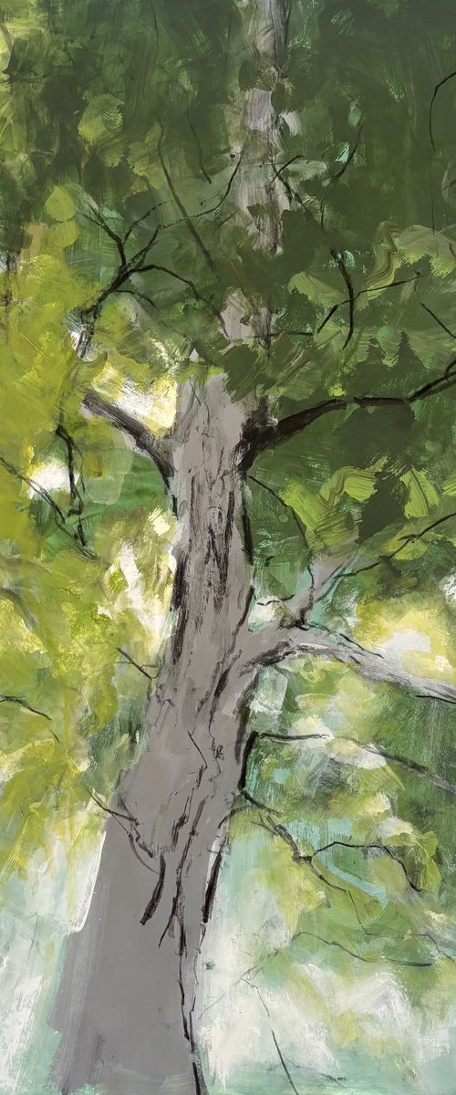 Summer Light by Joanna Farrow