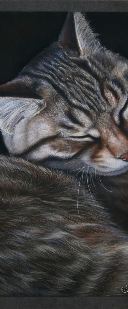 Sweet dreams by Tatjana Bril