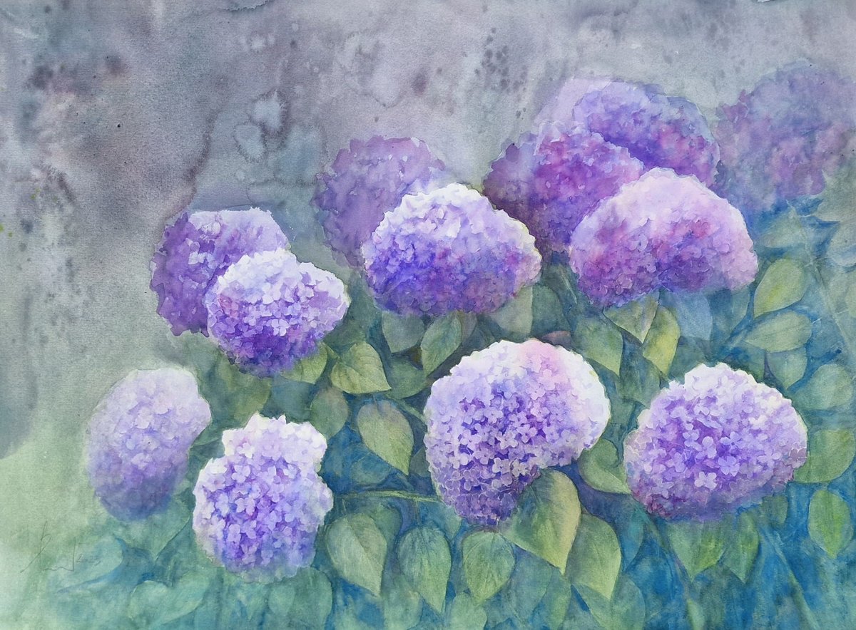 HYDRANGEAS ON A DRIZZLY DAY 2023.019 watercolour XXL size by Beata van Wijngaarden