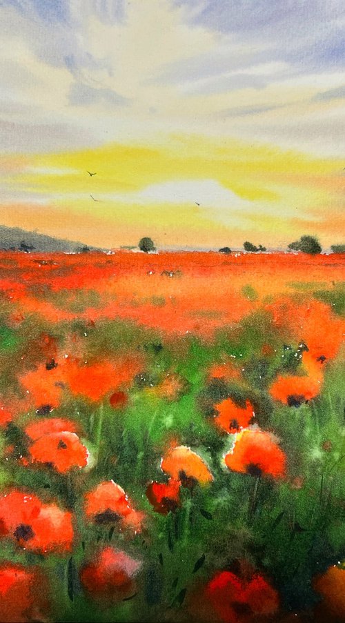 Poppy field at sunset by Eugenia Gorbacheva