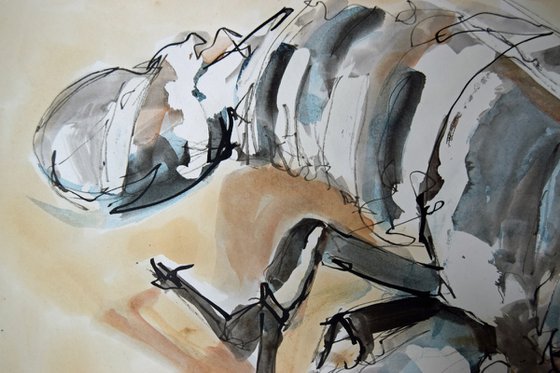 PIL 42 x 59cm, ink and watercolour on paper