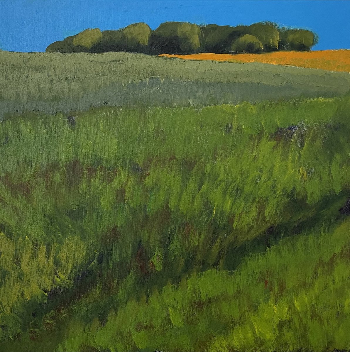 Expressive Landscape Oil Painting By Stephen Howard Harrison, 20 X 20", Fields And Trees, Fife, Original Artwork