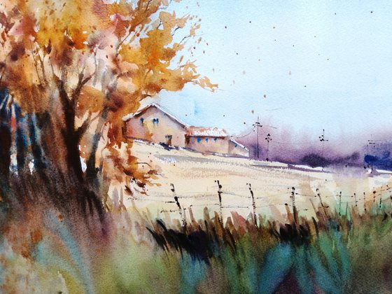 countryside landscape 22