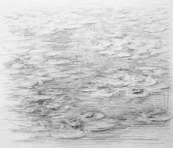 Water lilies. Sketch #1. Original pencil drawing.