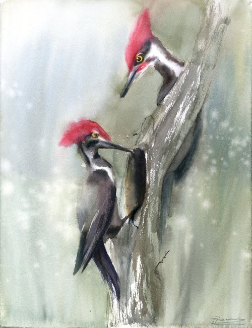 Woodpeckers on the tree by Olga Shefranov (Tchefranov)
