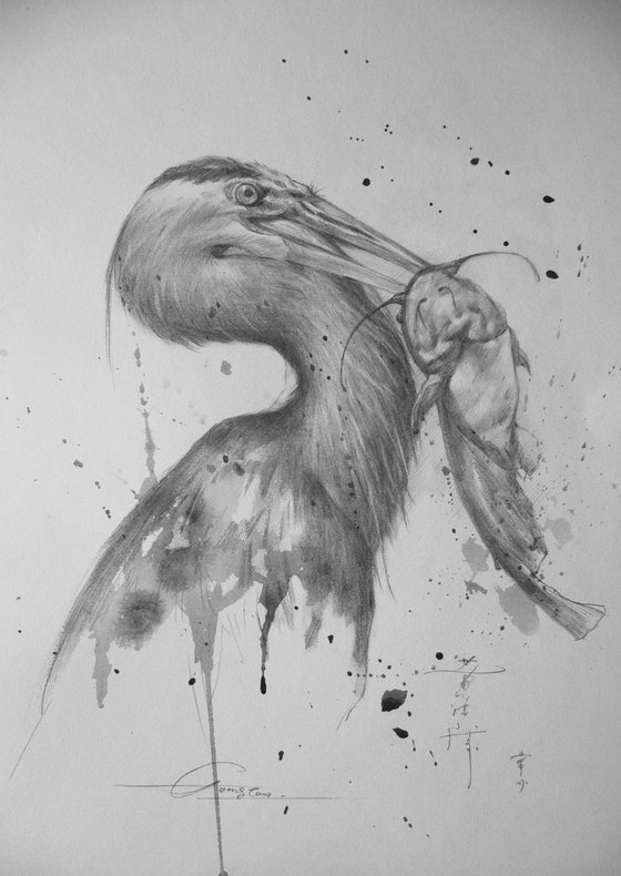 Animal drawing  pencil  Grey Heron  #17331