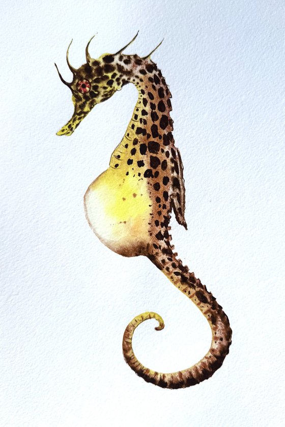Yellow Seahorse underwater