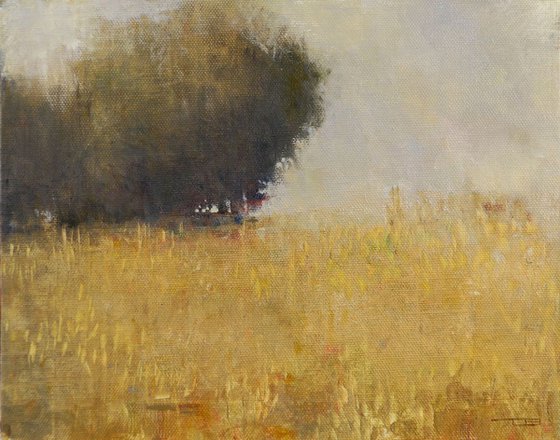 Golden Field