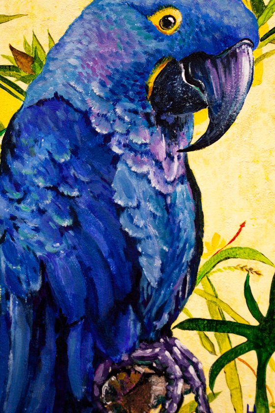 Blue parrot