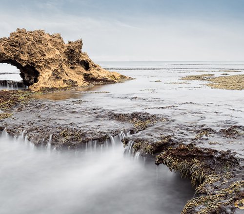 Enchanting Dragons Head by Nick Psomiadis