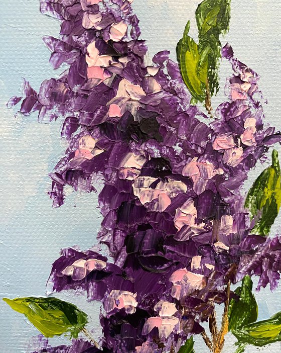 Spring lilac