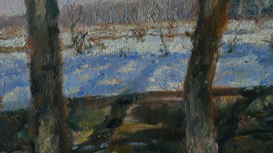The Sunny Spring Day
