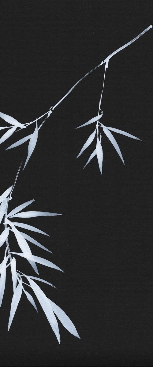 Silent Moon Bamboo by Hai Doan
