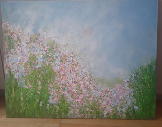 PINK SUMMER MORNING