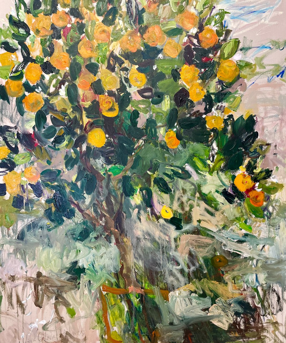 Watching an orange tree grow. by Lilia Orlova-Holmes