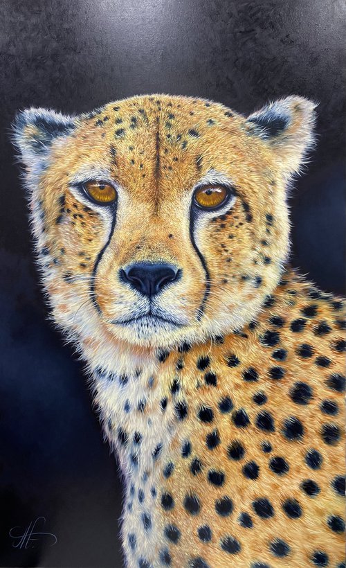 The cheetah by Artak Galstian