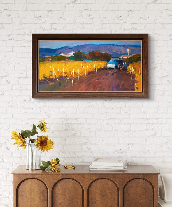 Sunny October. Vineyards