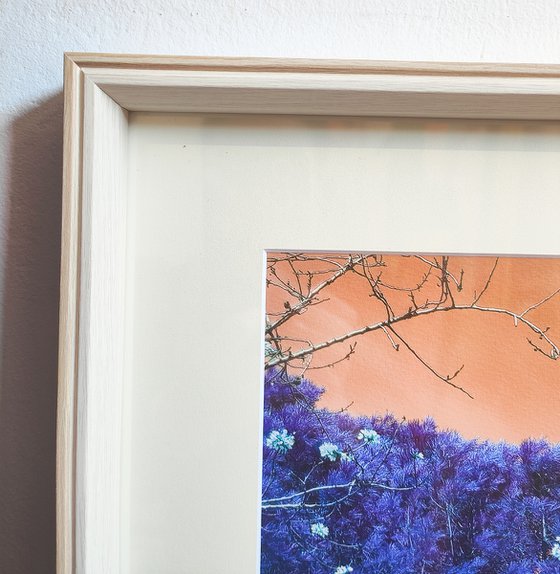 (FRAMED) Nature and Seasons