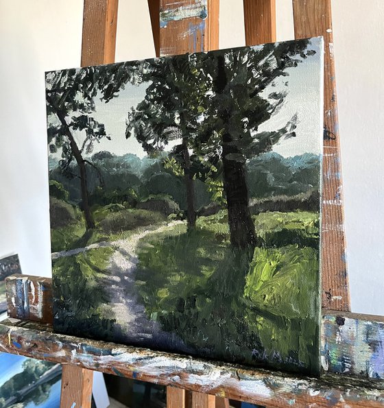 The trail