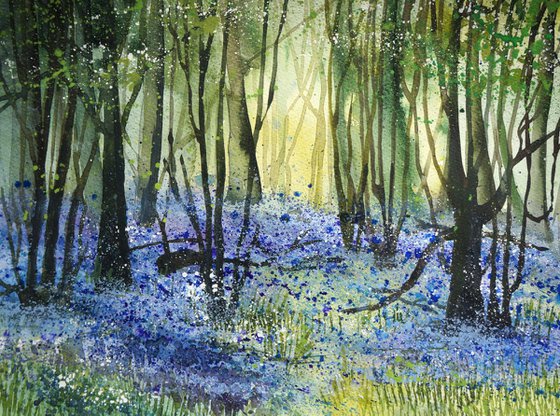 Bluebells in Hertfordshire