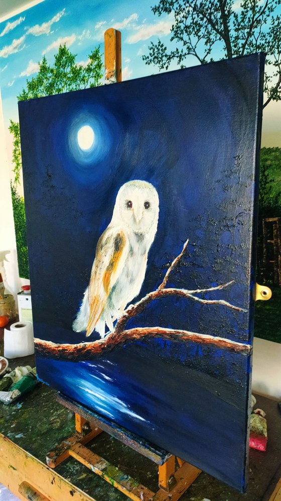 Barn Owl at Night