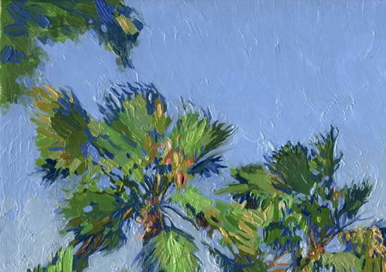 Palm trees on the beach