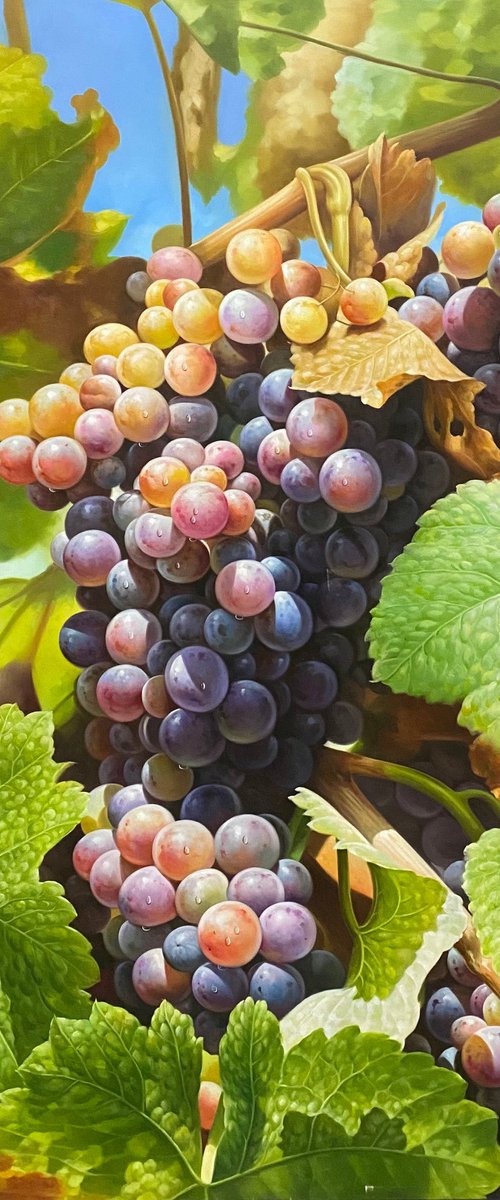 Grape with leaves c208 by Kunlong Wang