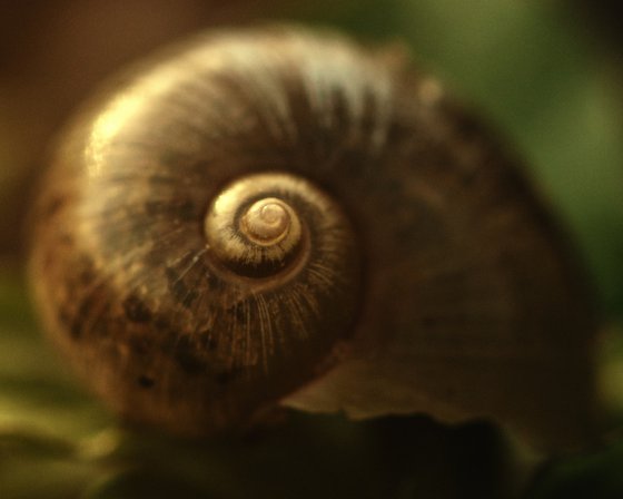 Fragile Treasure - studio edition