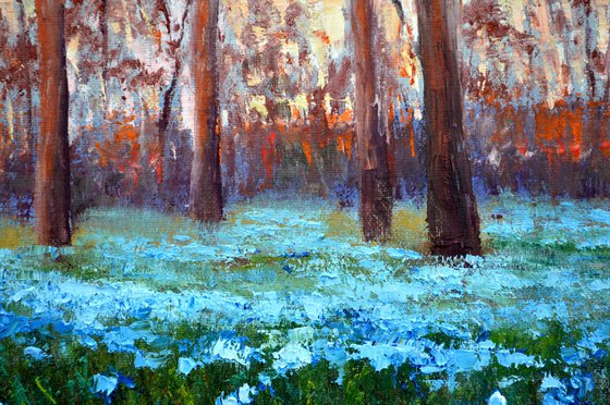 Scilla in the morning park