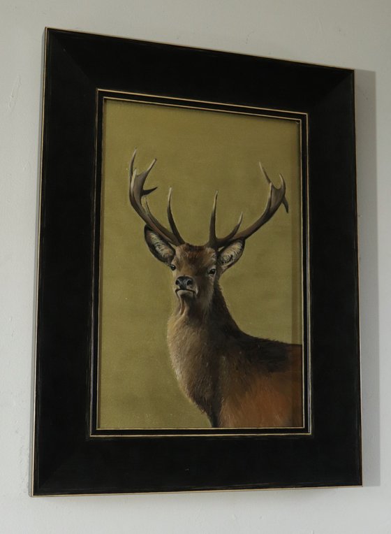 Stag on a Sky of Gold