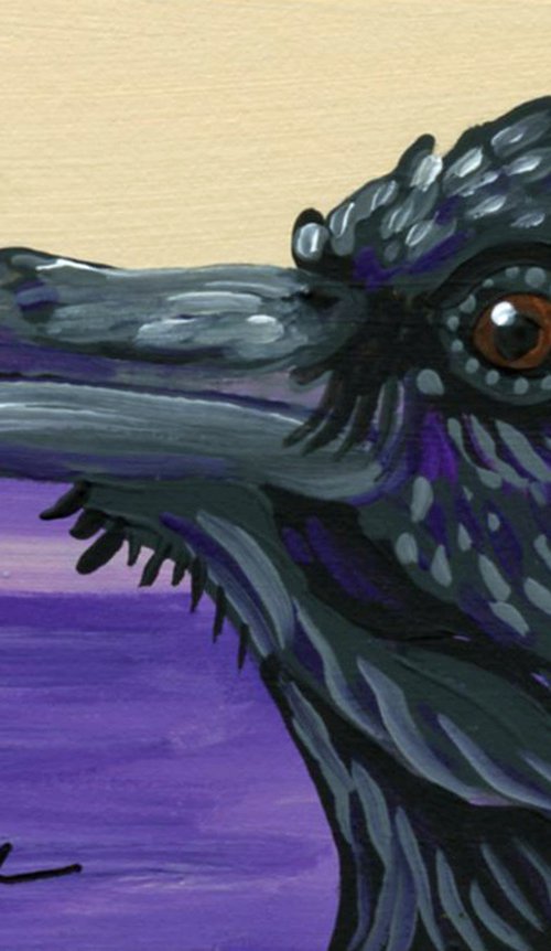 Crow Raven by Carla Smale