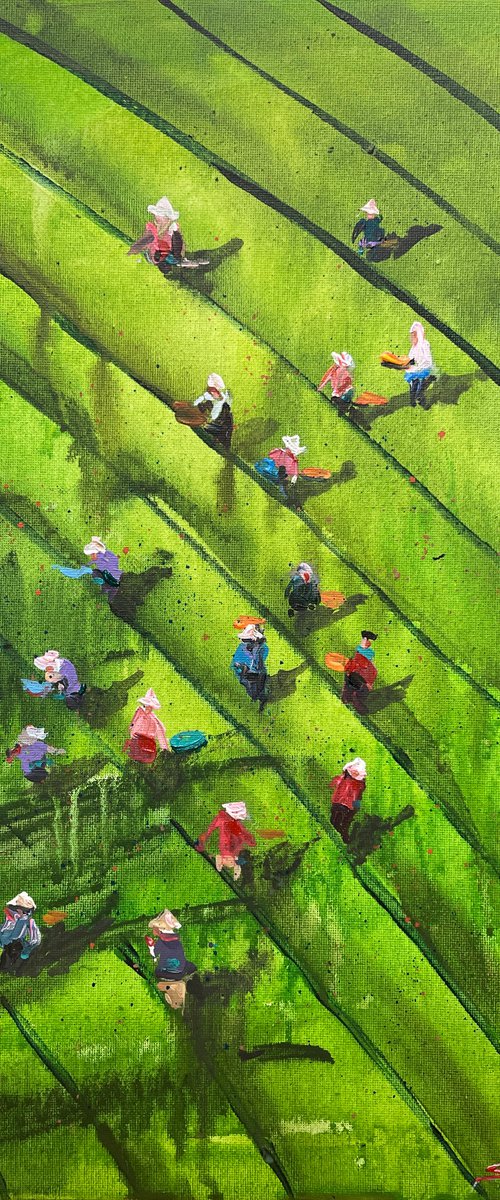 Ceylon tea harvest by Bogdan Shiptenko