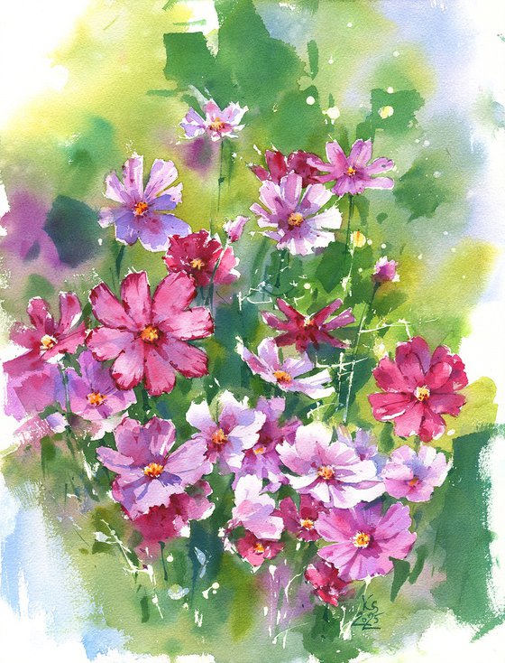 Cosmos Flowers. Sunlit Harmony