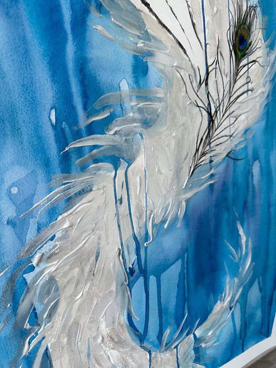 Peacock Diva
