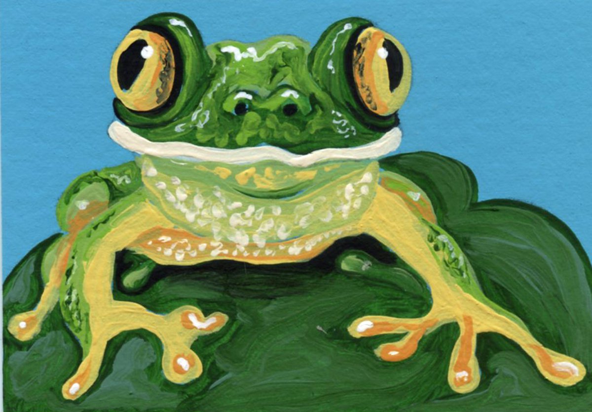 ACEO ATC Original Miniature Painting Green Frog Wildlife Art-Carla Smale by carla smale