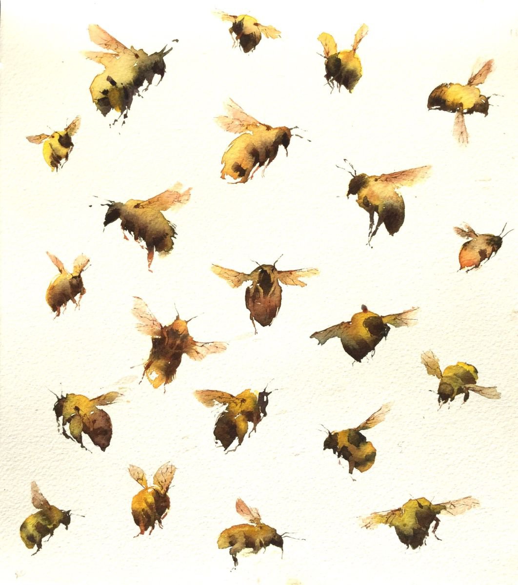 Bumblebees by Kate Osborne