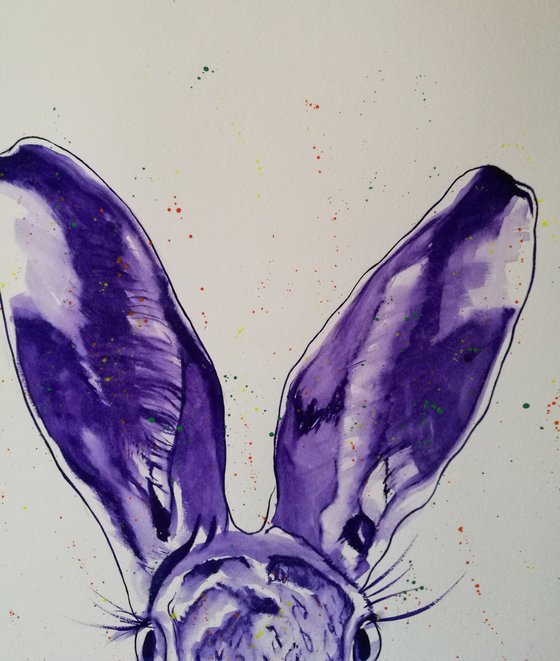 ' Purple Hare ' on paper 42cm x 59cm