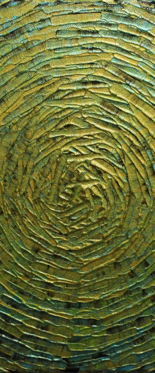 Concentric burst of algae by Jonathan Pradillon