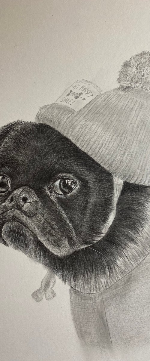Pug in jumper and hat by Maxine Taylor