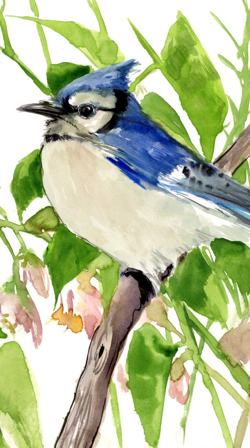 Blue Jay by Suren Nersisyan