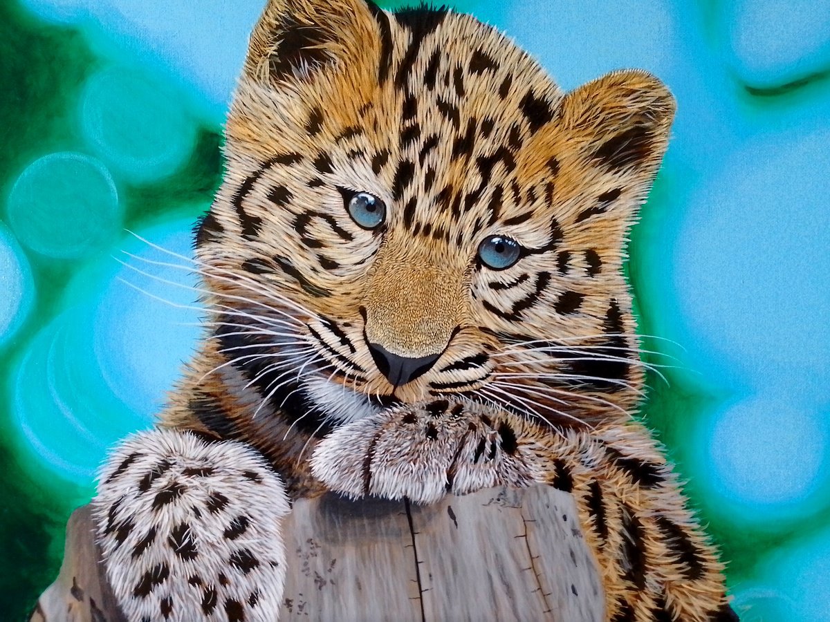 Baby Leopard by Barry Gray