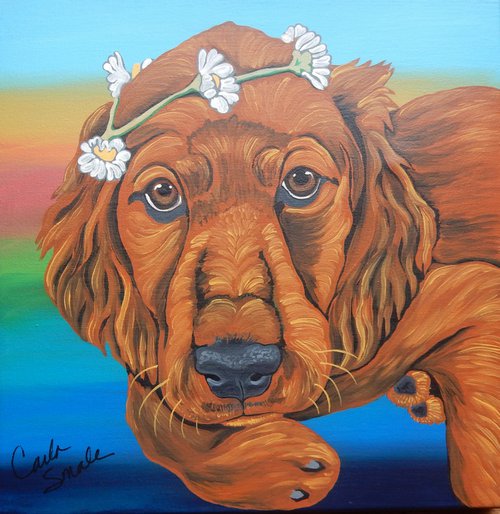 Irish Setter Puppy Dog by Carla Smale