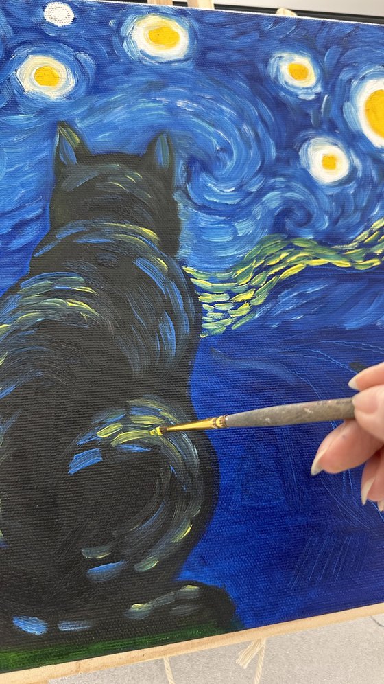 Starry Night Visitor