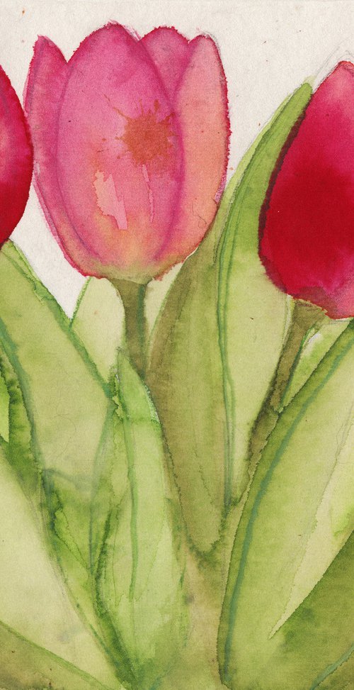 Three tulips by Mia